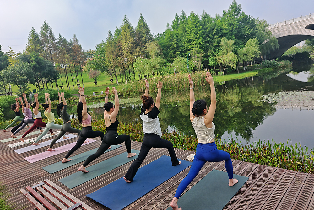 55f0a9d681cf466923d68b3cfe39c8a8-